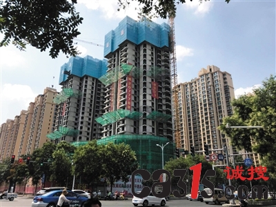 zhengxq877_b.jpg