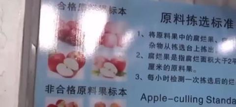 　▲图片视频截图。