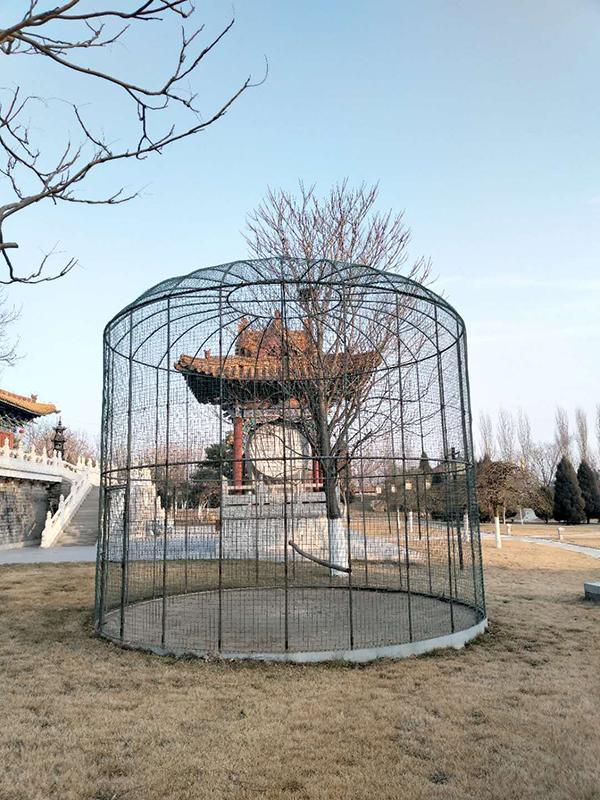 天狮董事长李金元的百亩宫殿：蓄养天鹅 内设家族祠堂