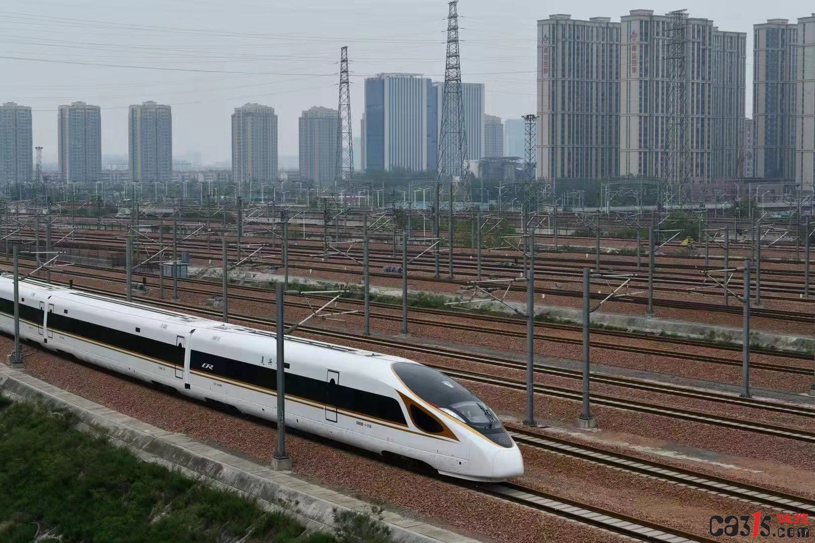 杨2.jpg