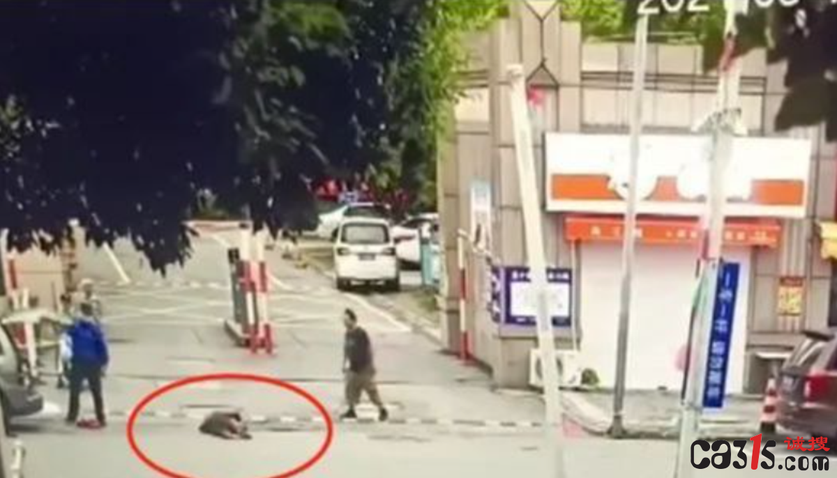 QQ截图20210917190320.png