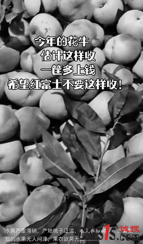 QQ截图20211111085543.png