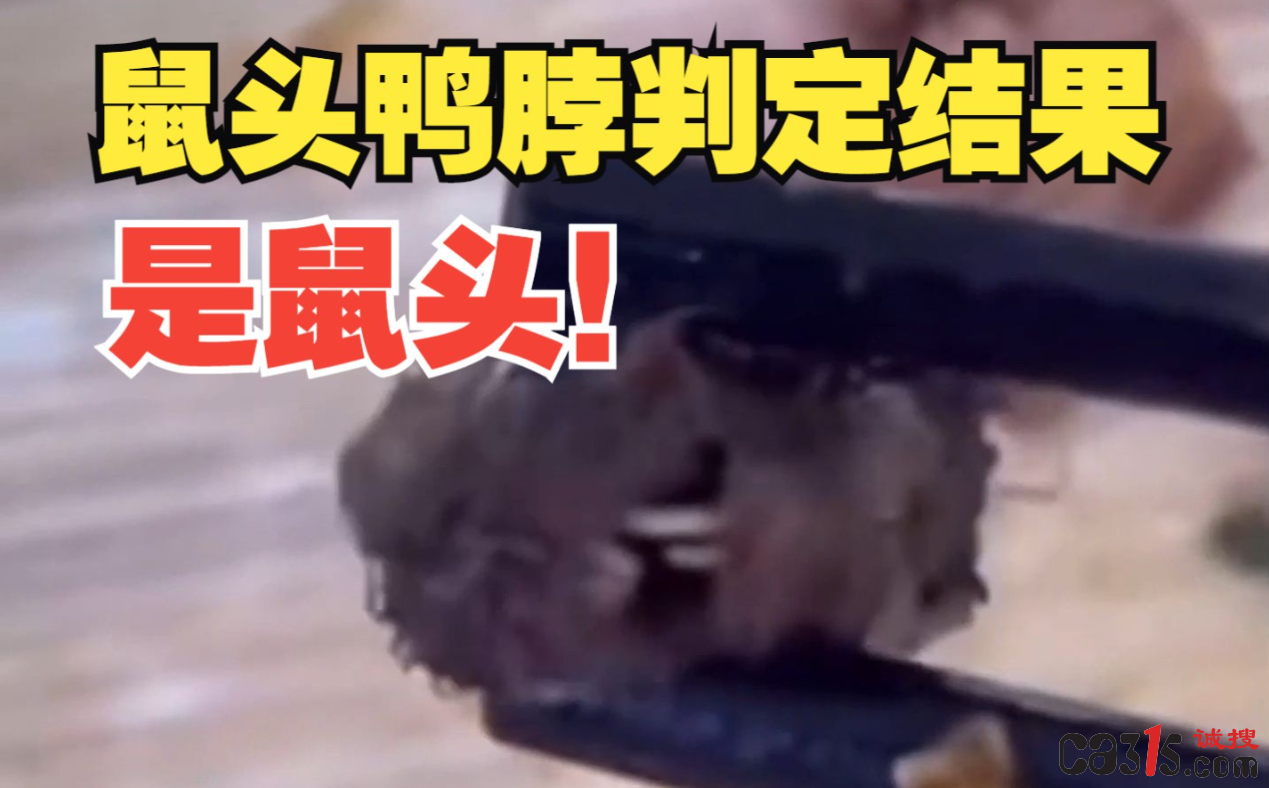 QQ截图20230617151543.png