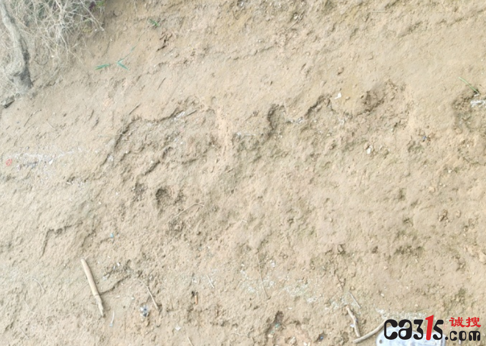 QQ截图20231004085227.png
