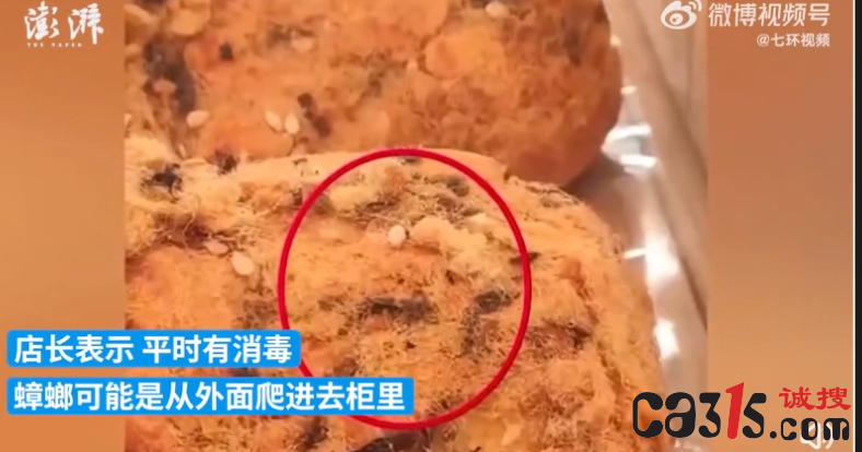 QQ截图20231108212242.png