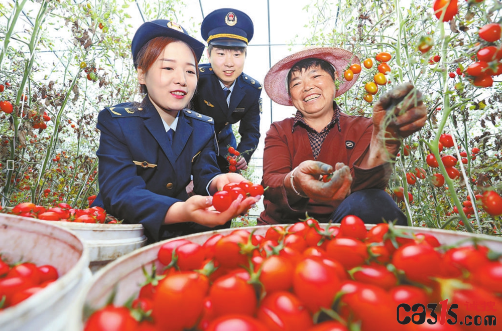 QQ截图20231113063513.png