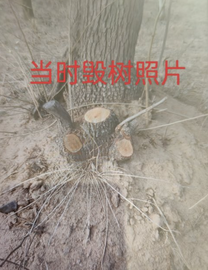 1701475524341349.png QQ截图20231202080422.png