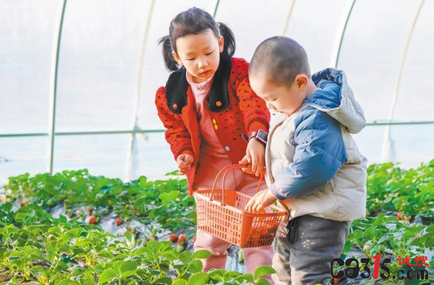 QQ截图20231215081820.png