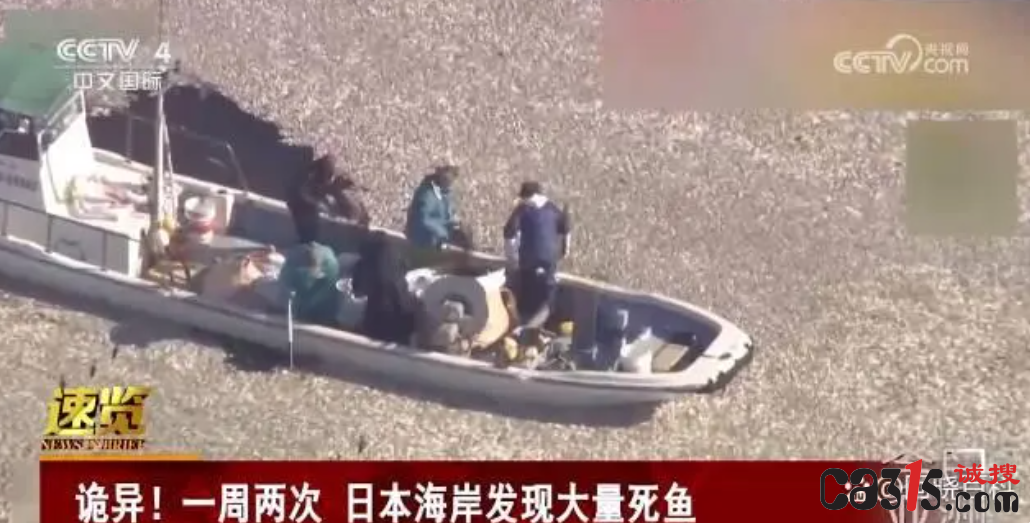 1702822645106964.png QQ截图20231217221618.png
