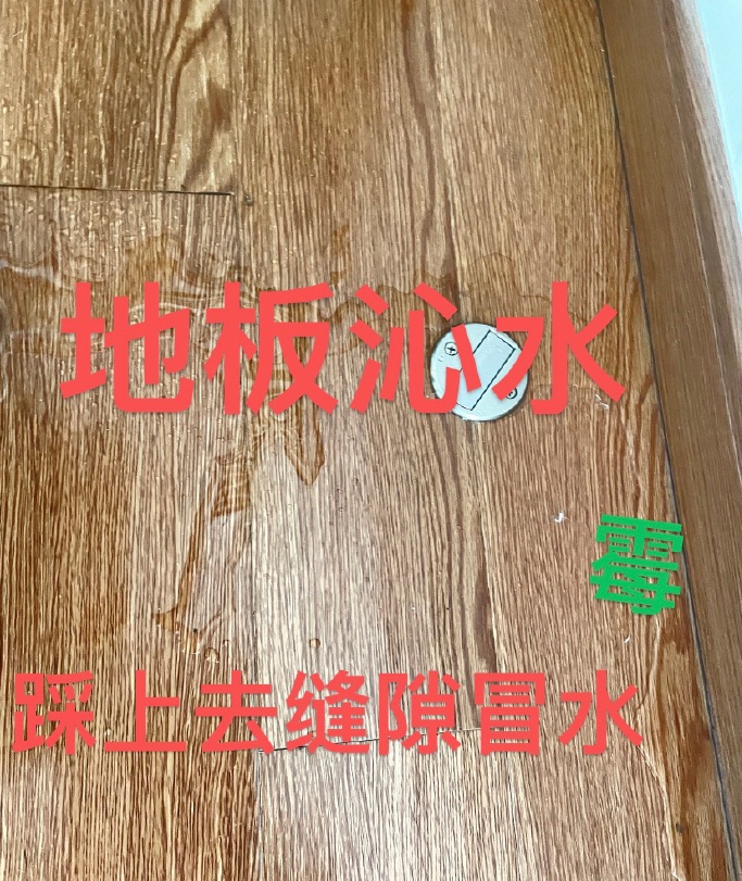 e495e2a1ly1hl0gs8z1kkj21ai1q0e81.jpg
