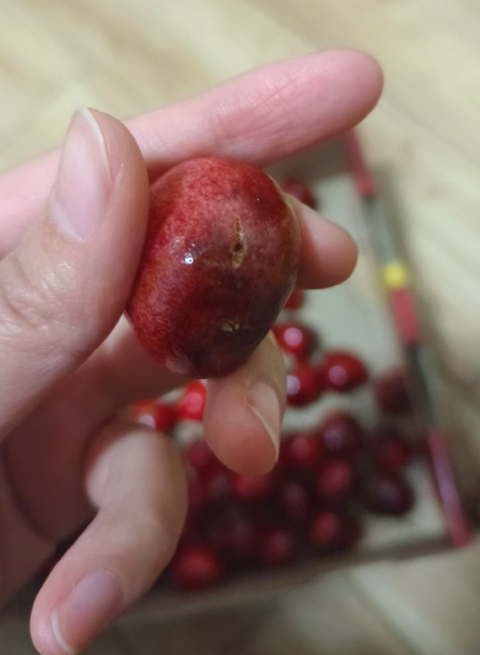 QQ截图20240113230010.png