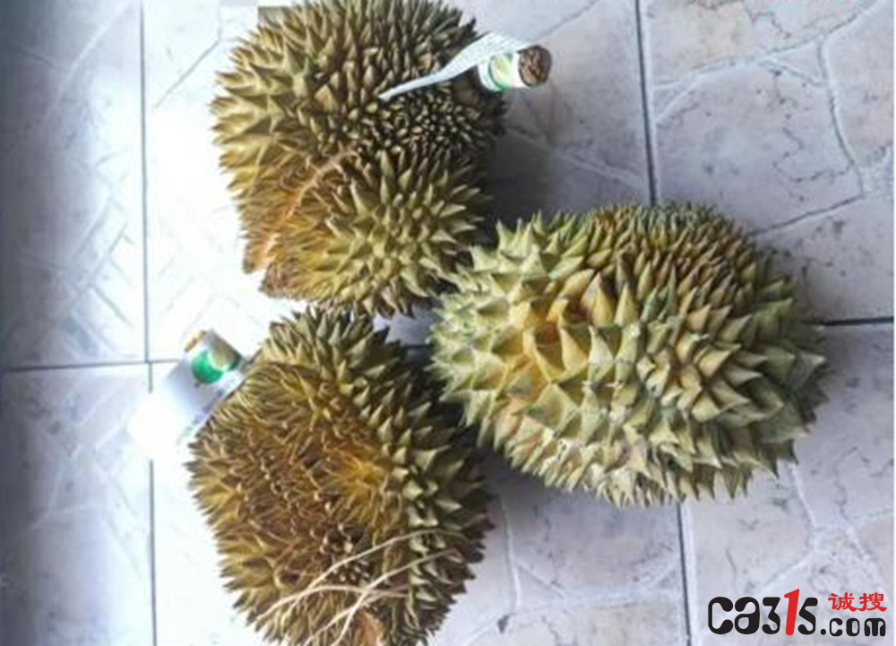 QQ截图20240524111000.png