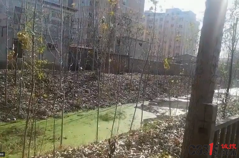 截图20241231111759.png