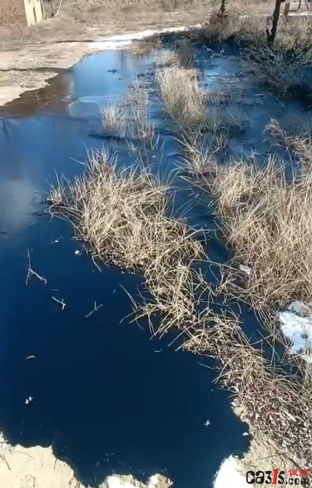 1735615935904860.png 截图20241231112645.png