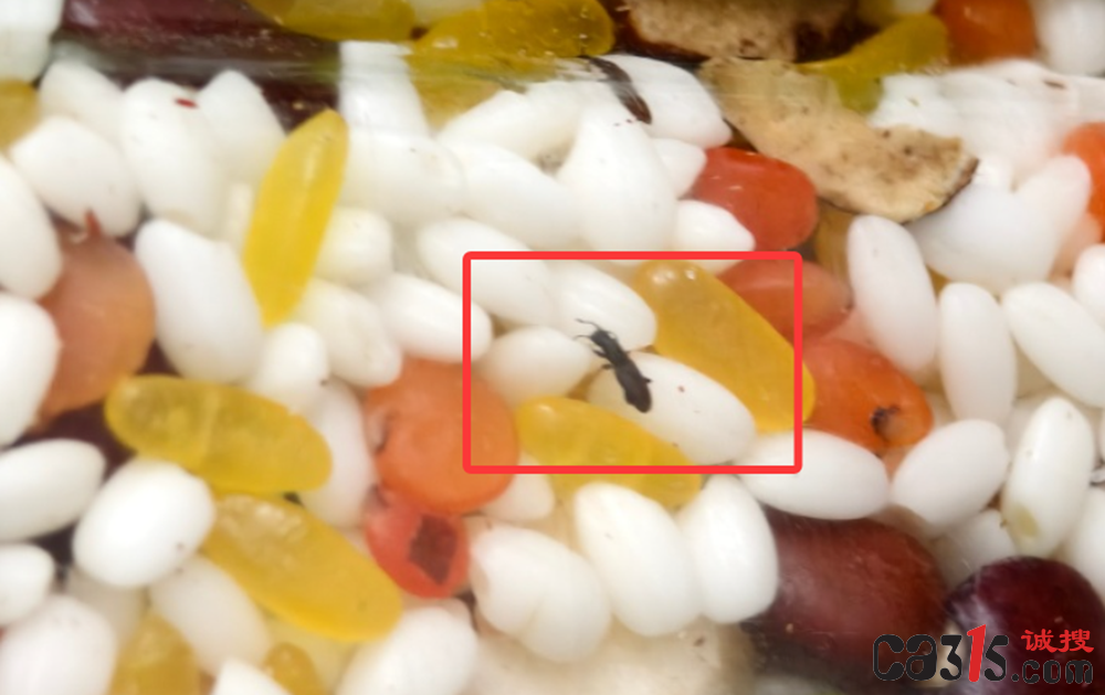 北京德凤超市售卖“虫米” 厂家辩称"虫子可食"并威胁消费者(图3) QQ20251109-090237.png