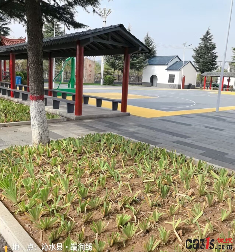 沁水县一乡村整治工程涉嫌 明招暗定:招标未落幕 项目已完工(图3) 1763989518896606.jpg