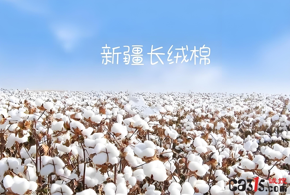downloaded-image.jpg