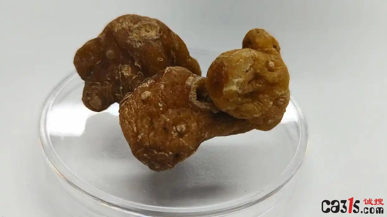 8c1001e93901213f0ddc5e3c90d1e9c02e2e952f_副本.jpg