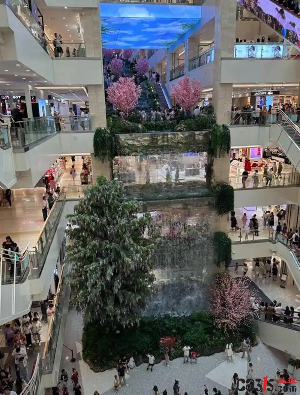 1785916892494559.jpg 2934349b033b5bb5aa6199674f893b28b700bc65_副本.jpg