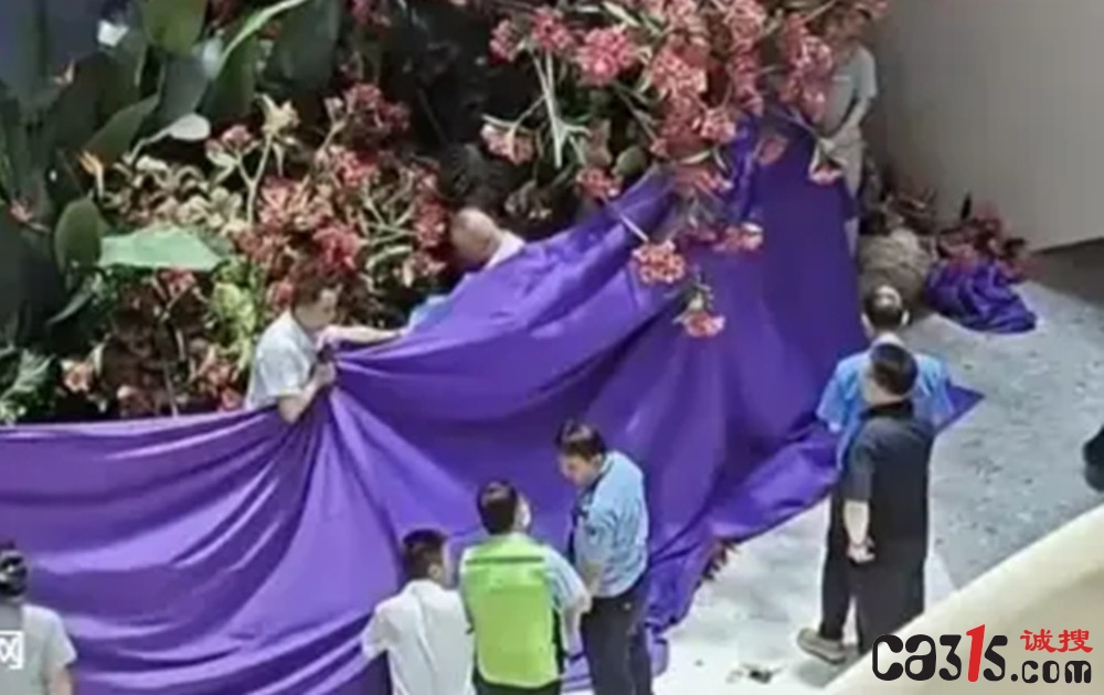 西安赛格商场坠亡事件调查通报：千万“违约金”被指过高，双方已和解