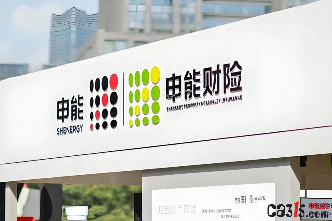 换帅不停罚单，申能财险边狂奔边补课