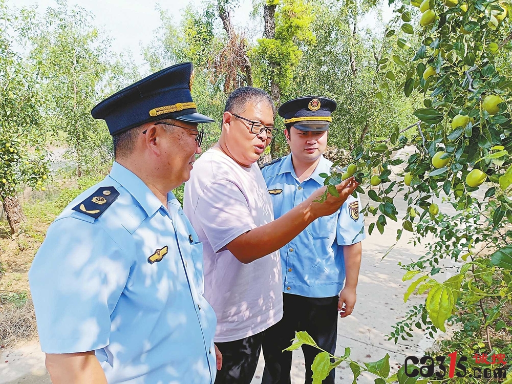 山东省宁阳县市场监管局开展大枣种植基地助农活动