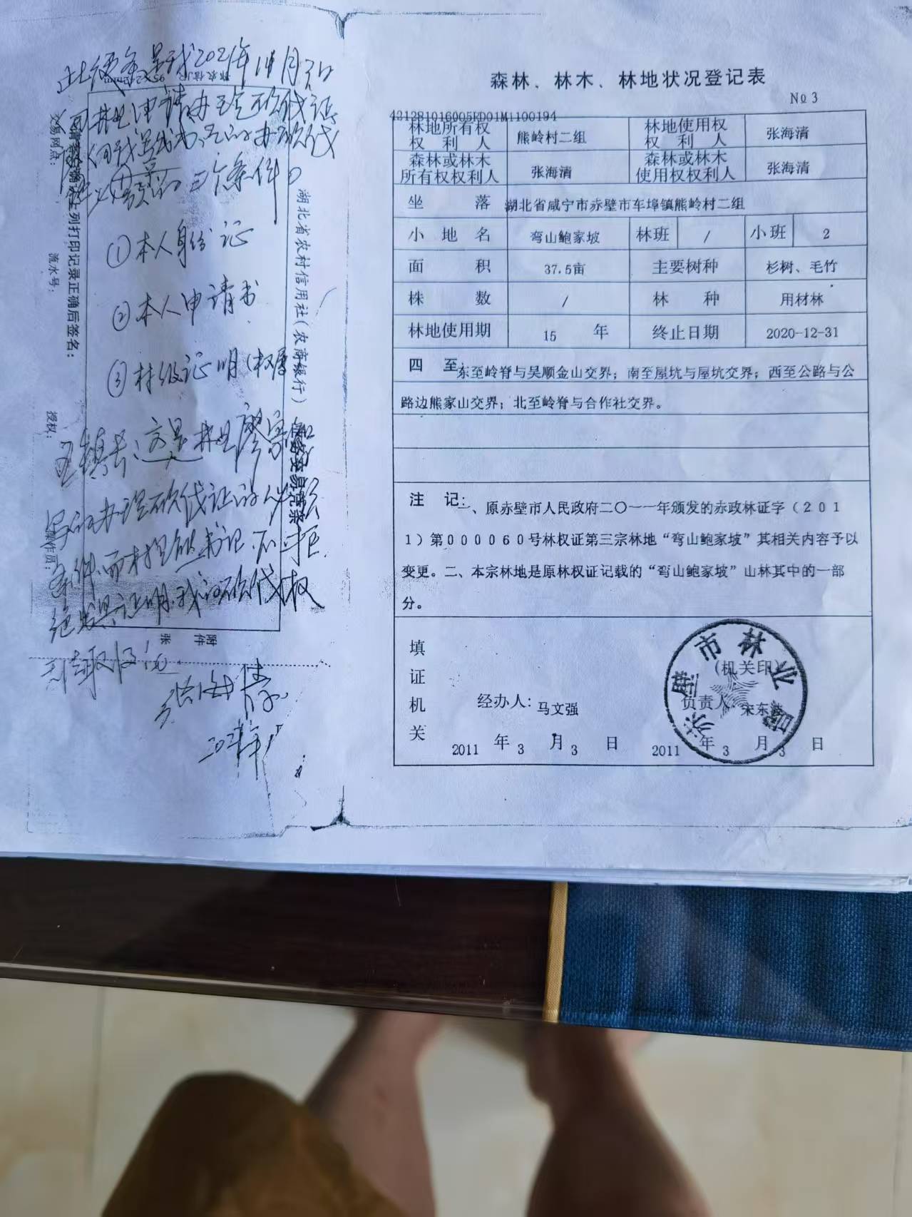 湖北赤壁市张海清二十年山林维权困境： 成材林木难砍伐，多方协调无果谁来解