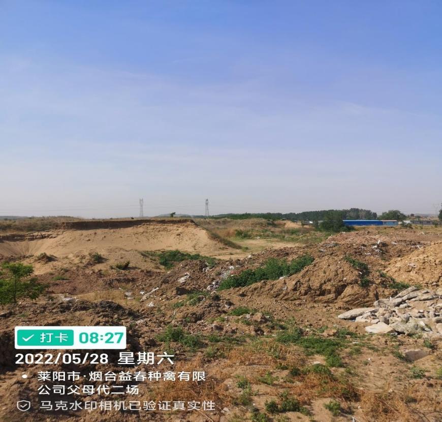 借“疏浚清淤”名义非法采砂,背后是监管不力还是“同流合污”？